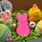 Easter Kids Bath Bombs Collection Box with Holiday Themed Toys Inside  - 5 ct
