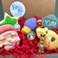 Christmas Kids Bath Bombs Gift Box with Holiday Themed Bombs - 5 ct - Berwyn Betty's Bath & Body Shop