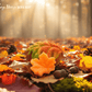 Fall Leaf Kids Bath Bomb with Squishy Leaf Toy Inside - Berwyn Betty's Bath & Body Shop