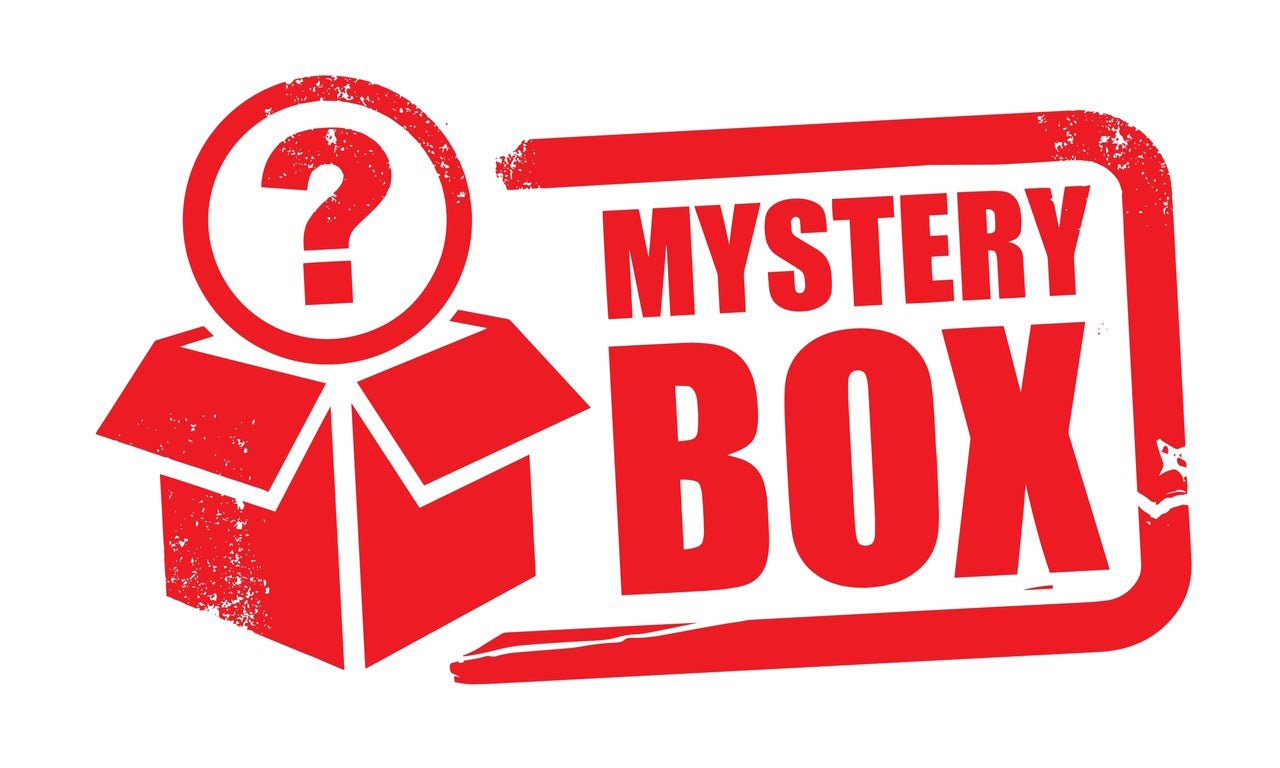 MYSTERY BOX for KIDS with Surprise Toys Inside - 10 ct - Berwyn Betty's Bath & Body Shop